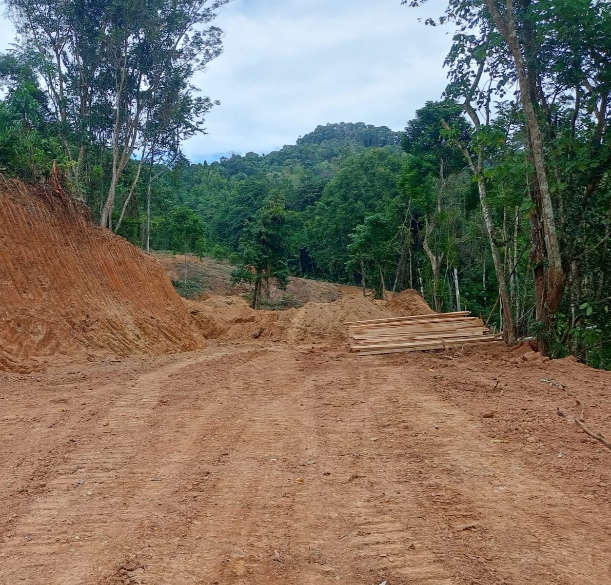Polres Boltim Datangi Lokasi Tambang di Perkebunan Kayu Manis Desa Bai, Tak Temukan Aktivitas maupun Pergerakan Alat Berat