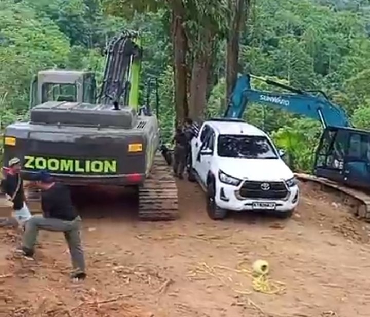 PETI di Perkebunan Kayu Manis Boltim Beroperasi Terang-terangan, Sorotan Tertuju ke APH Polres Boltim