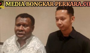 InShot_20260315_192340564